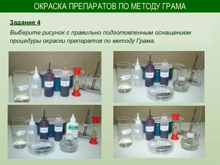 ОКРАСКА ПРЕПАРАТОВ ПО МЕТОДУ ГРАМА Задание 4 Выберите рисунок с