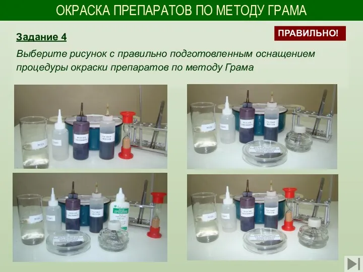 ОКРАСКА ПРЕПАРАТОВ ПО МЕТОДУ ГРАМА Задание 4 Выберите рисунок с