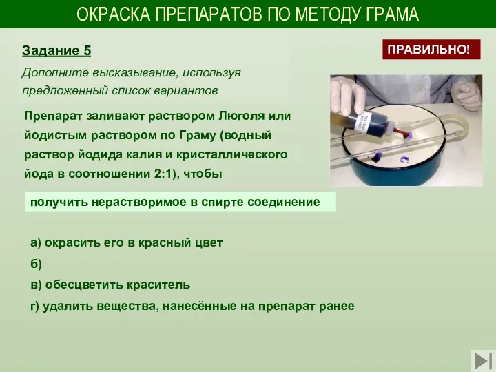 ОКРАСКА ПРЕПАРАТОВ ПО МЕТОДУ ГРАМА Препарат заливают раствором Люголя или