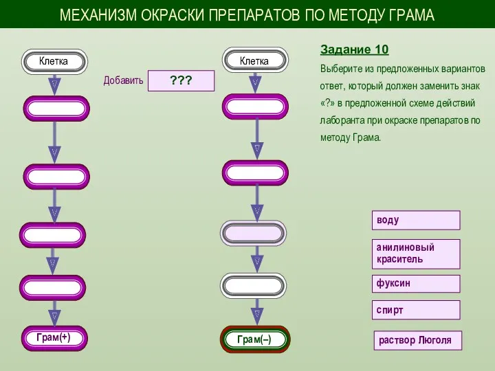 Задание 10 Выберите из предложенных вариантов ответ, который должен заменить