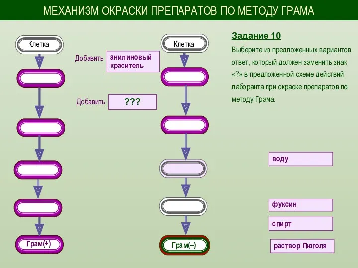 Задание 10 Выберите из предложенных вариантов ответ, который должен заменить