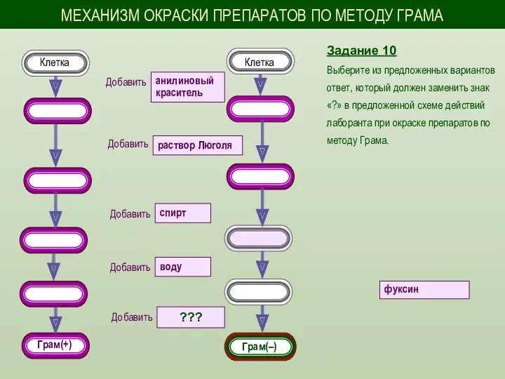 Задание 10 Выберите из предложенных вариантов ответ, который должен заменить