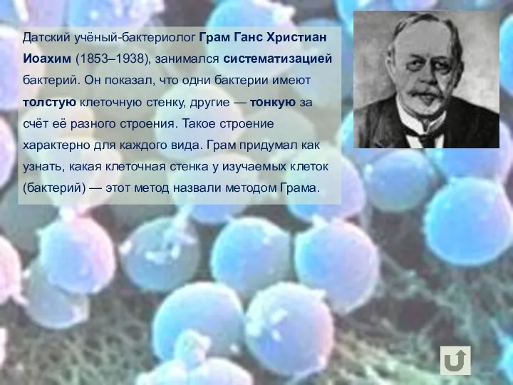 Датский учёный-бактериолог Грам Ганс Христиан Иоахим (1853–1938), занимался систематизацией бактерий.