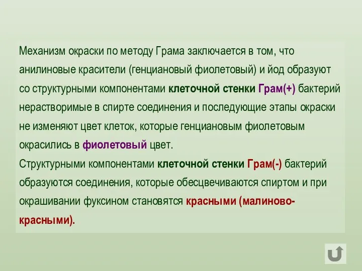 Механизм окраски по методу Грама заключается в том, что анилиновые