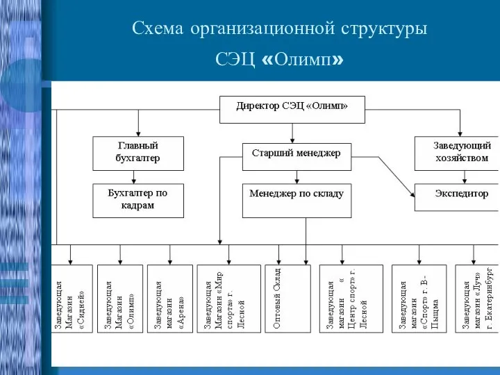 Схема организационной структуры СЭЦ «Олимп»