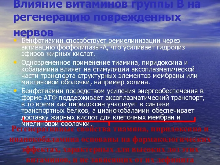 Влияние витаминов группы B на регенерацию поврежденных нервов Бенфотиамин способствует