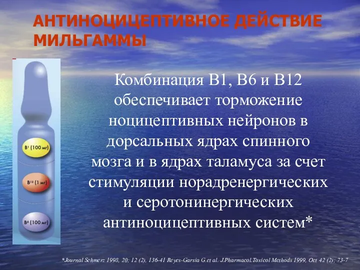 АНТИНОЦИЦЕПТИВНОЕ ДЕЙСТВИЕ МИЛЬГАММЫ Комбинация В1, В6 и В12 обеспечивает торможение