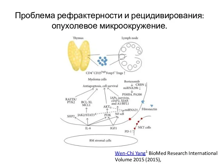 Проблема рефрактерности и рецидивирования: опухолевое микроокружение. Wen-Chi Yang1 BioMed Research International Volume 2015 (2015),