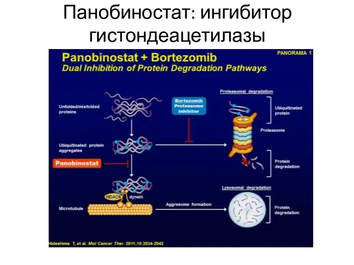 Панобиностат: ингибитор гистондеацетилазы