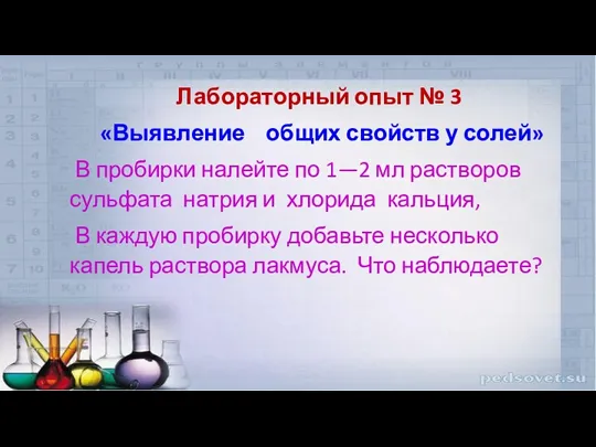 Лабораторный опыт № 3 «Выявление общих свойств у солей» В