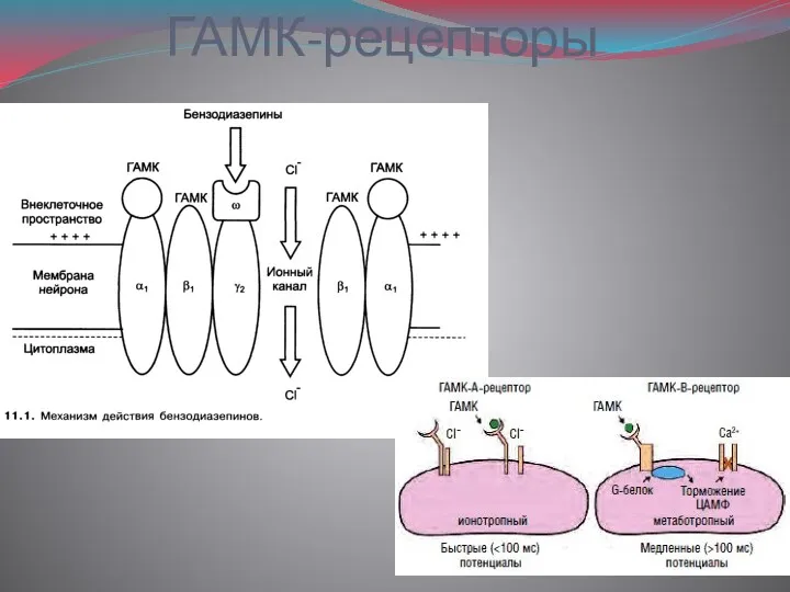 ГАМК-рецепторы