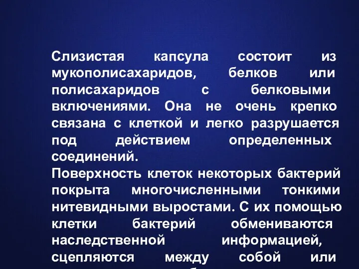 Слизистая капсула состоит из мукополисахаридов, белков или полисахаридов с белковыми