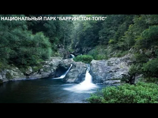 НАЦИОНАЛЬНЫЙ ПАРК "БАРРИНГТОН-ТОПС"