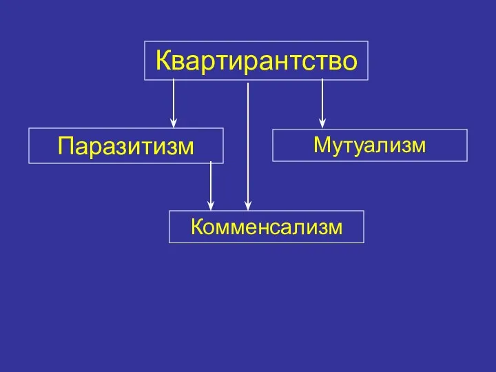 Квартирантство Паразитизм Мутуализм Комменсализм