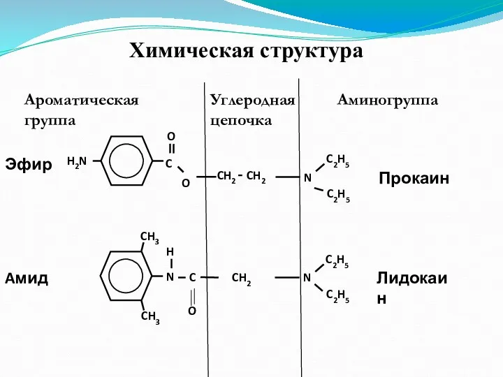 Химическая структура Ароматическая группа Углеродная цепочка Аминогруппа C O O