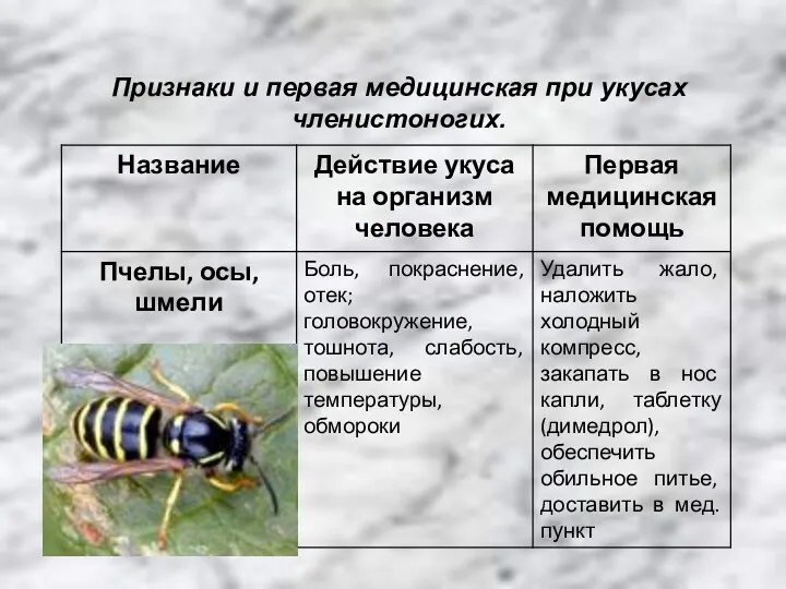 Признаки и первая медицинская при укусах членистоногих.