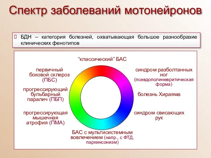 Спектр заболеваний мотонейронов БДН – категория болезней, охватывающая большое разнообразие клинических фенотипов