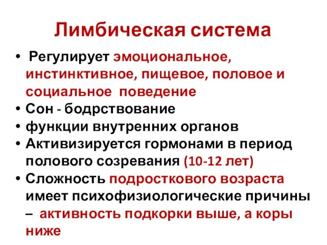 Лимбическая система Регулирует эмоциональное, инстинктивное, пищевое, половое и социальное поведение