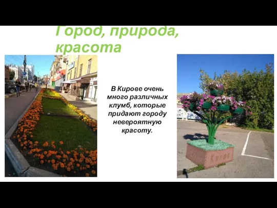 Город, природа, красота В Кирове очень много различных клумб, которые придают городу невероятную красоту.
