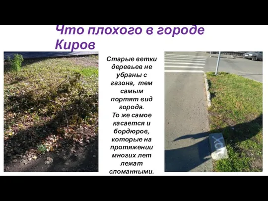 Что плохого в городе Киров Старые ветки деревьев не убраны