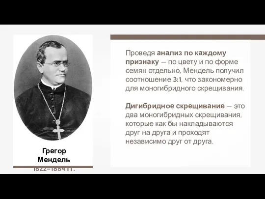 Грегор Мендель 1822–1884 гг. Проведя анализ по каждому признаку —