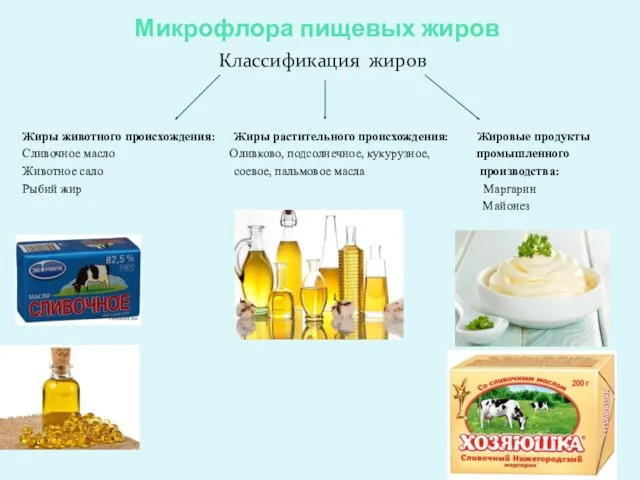 Микрофлора пищевых жиров Классификация жиров Жиры животного происхождения: Жиры растительного