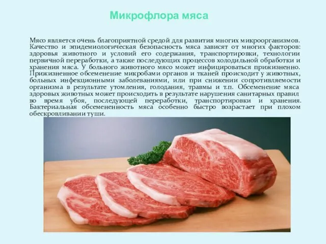 Микрофлора мяса Мясо является очень благоприятной средой для развития многих микроорганизмов. Качество и