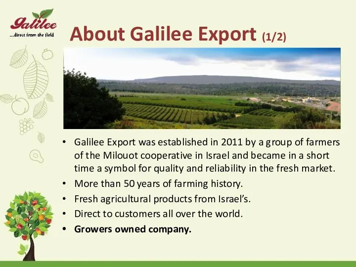 About Galilee Export (1/2) Galilee Export was established in 2011