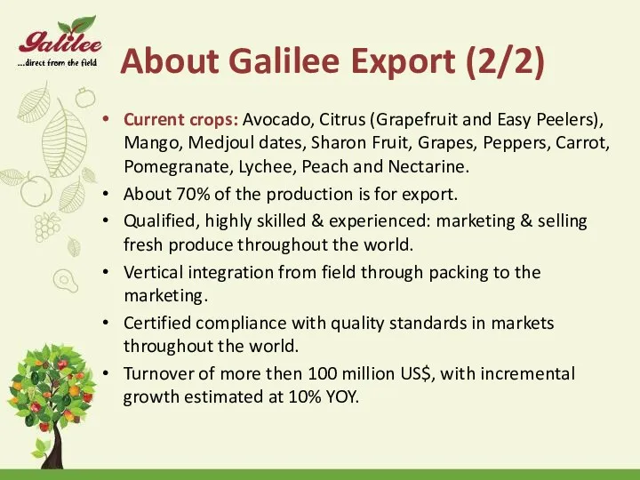 About Galilee Export (2/2) Current crops: Avocado, Citrus (Grapefruit and