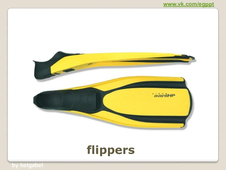 flippers www.vk.com/egppt by helgabel