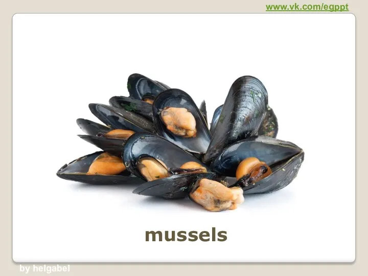 mussels www.vk.com/egppt by helgabel