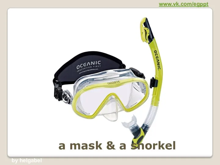 a mask & a snorkel www.vk.com/egppt by helgabel