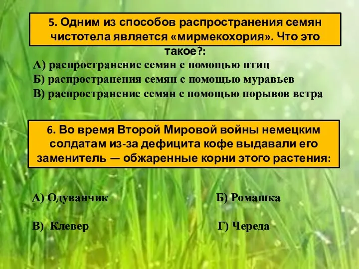 5. Одним из способов распространения семян чистотела является «мирмекохория». Что