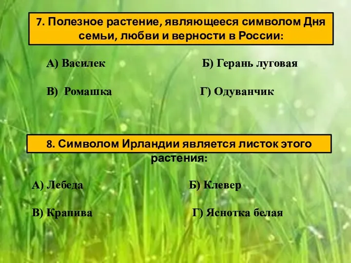 7. Полезное растение, являющееся символом Дня семьи, любви и верности