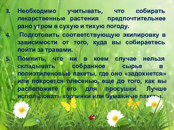 Необходимо учитывать, что собирать лекарственные растения предпочтительнее рано утром в