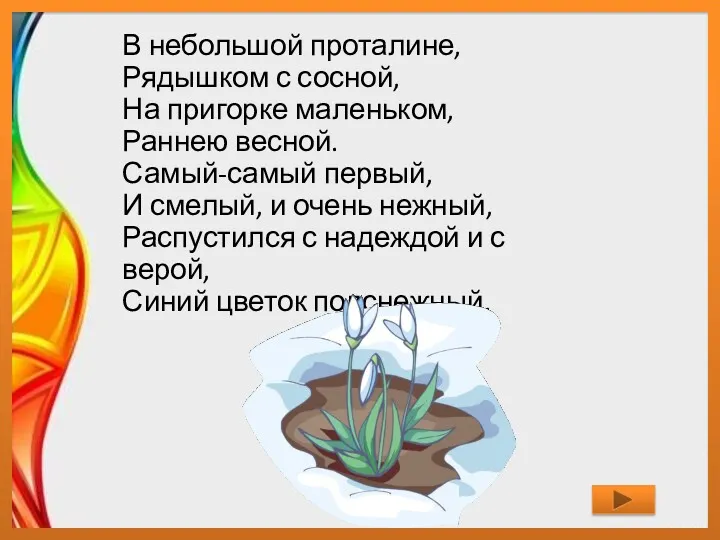 В небольшой проталине, Рядышком с сосной, На пригорке маленьком, Раннею