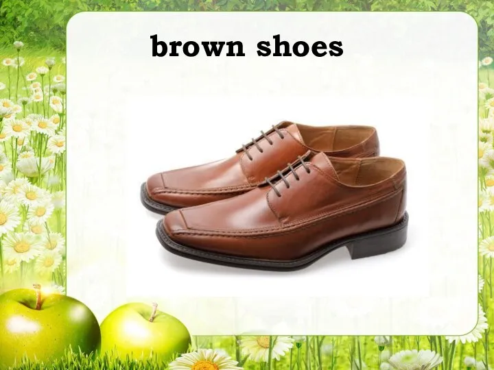 brown shoes