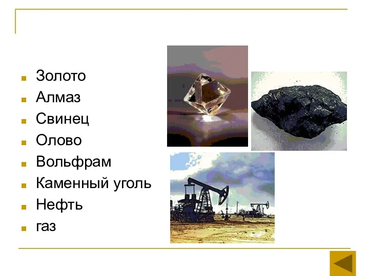 Золото Алмаз Свинец Олово Вольфрам Каменный уголь Нефть газ