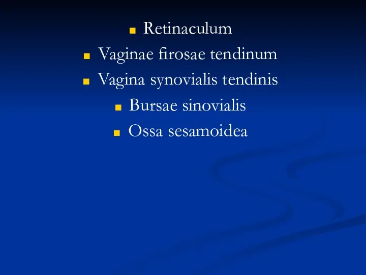 Retinaculum Vaginae firosae tendinum Vagina synovialis tendinis Bursae sinovialis Ossa sesamoidea