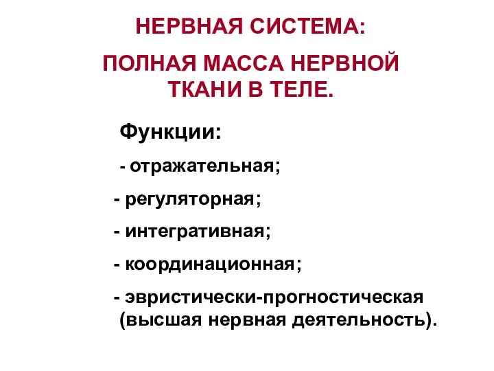 Функции: - отражательная; регуляторная; интегративная; координационная; эвристически-прогностическая (высшая нервная деятельность).