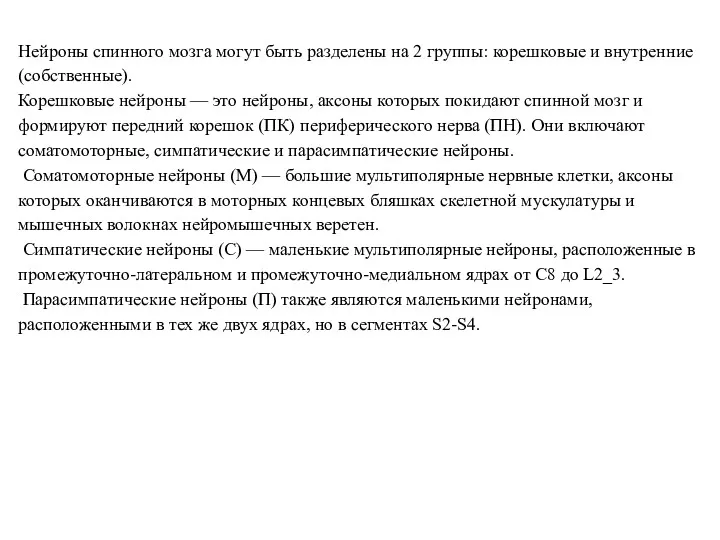 Нейроны спинного мозга могут быть разделены на 2 группы: корешковые