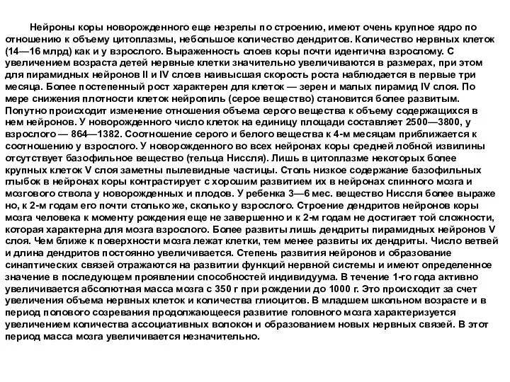 Нейроны коры новорожденного еще незрелы по строе­нию, имеют очень крупное