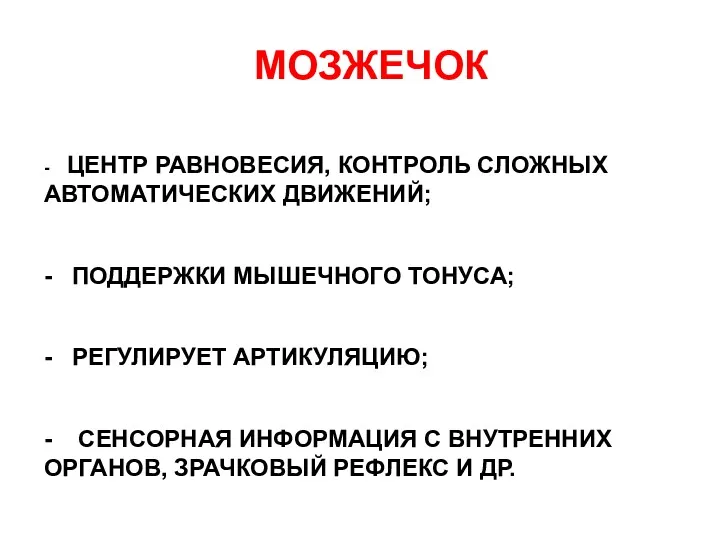 МОЗЖЕЧОК - ЦЕНТР РАВНОВЕСИЯ, КОНТРОЛЬ СЛОЖНЫХ АВТОМАТИЧЕСКИХ ДВИЖЕНИЙ; - ПОДДЕРЖКИ