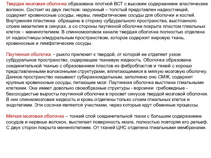 Твердая мозговая оболочка образована плотной ВСТ с высоким содержанием эластических