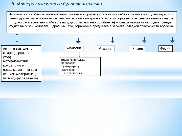 5. Материя үзенчәлеге буларак чагылыш Аң – чагылышның югары дәрәҗәсе(төр).