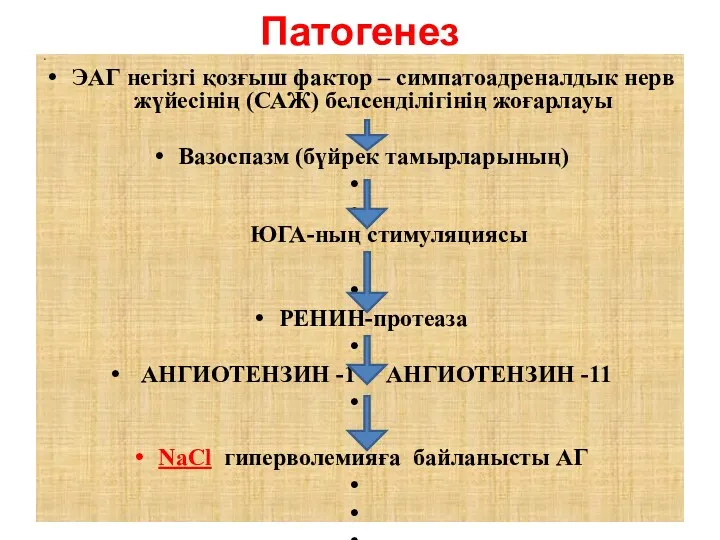 Патогенез ЭАГ негізгі қозғыш фактор – симпатоадреналдык нерв жүйесінің (САЖ)