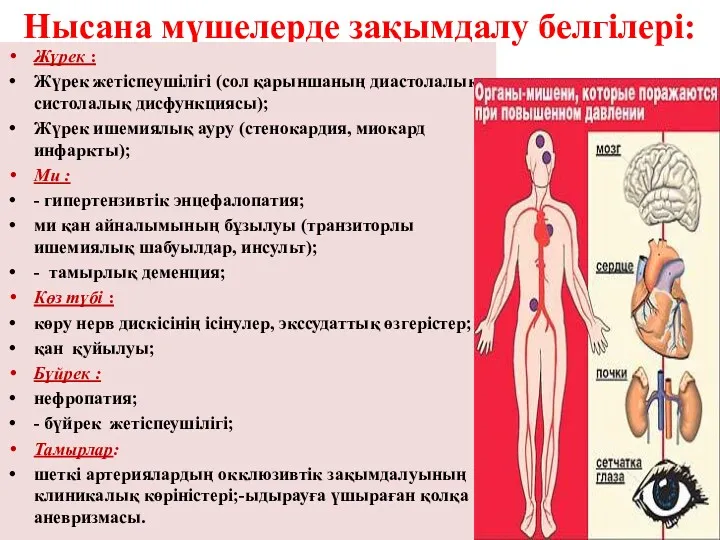 Нысана мүшелерде зақымдалу белгілері: Жүрек : Жүрек жетіспеушілігі (сол қарыншаның