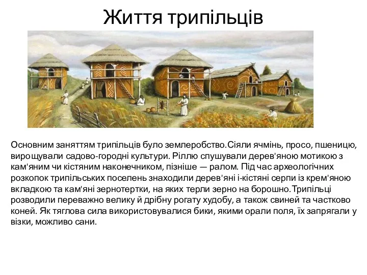 Життя трипільців Основним заняттям трипільців було землеробство.Сіяли ячмінь, просо, пшеницю,