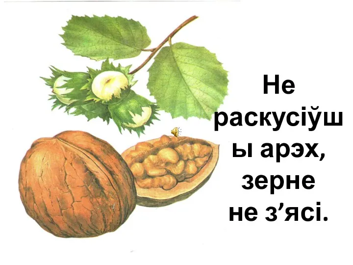 Не раскусіўшы арэх, зерне не з’ясі.