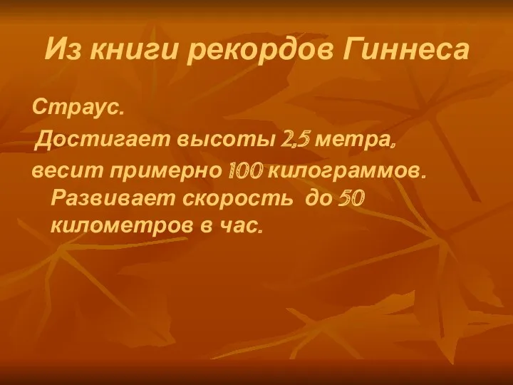 Из книги рекордов Гиннеса Страус. Достигает высоты 2,5 метра, весит